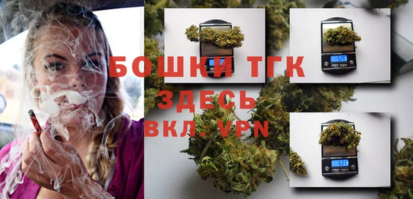 Альфа ПВП Нея