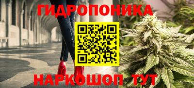дмт Нальчик