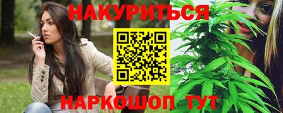 дмт Нальчик